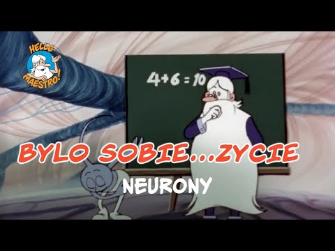Bylo Sobie... Zycie 🌱 - Neurony 💭