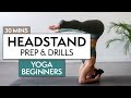 30 MIN HEADSTAND PREP & DRILLS | Headstand Beginners Yoga Class