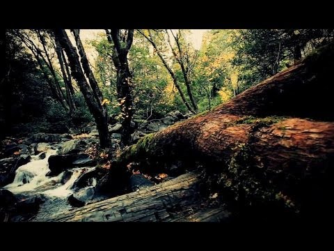 Sangre De Muerdago - O Cabalo Negro