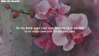 Brian Eno - Here He Comes (Lyrics/Subtitulado al español)