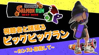 【スプラトゥーン3】ビッグビッグラン【視聴者参加型】