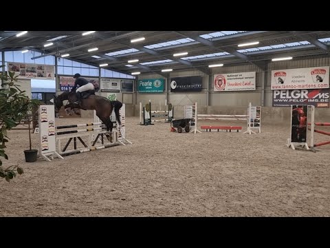 20230219, Stal Cavaro, 1.05m, Maia, 12de