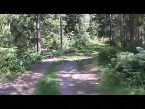 SM I BARMARK 2011, Bana 2,6km