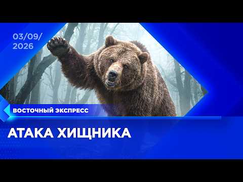 Медведь напал на туриста в Бурятии | «Восточный экспресс» | новости Улан-Удэ