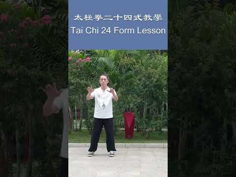 Yang Style Tai Chi Chuan 24 Form Postures 1-3