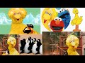 Sesame Street Play With Penguin Video