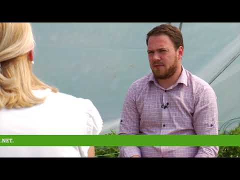 Reč struke ep. 172 26.04.2018. - Gajenje jagode u zaštićenom prostoru