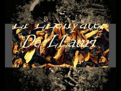 llenyater de llauri 2 part .avi