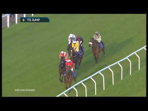 2014 Neptune Investment Management Novices' Hurdle - Cheltenham Open meeting