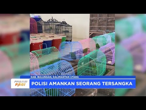 POLDA KALTARA UNGKAP KASUS PERDAGANGAN SATWA DILINDUNGI