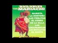 Mariachi Tepatitlan - La Marieta