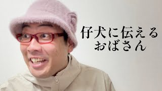 仔犬に伝えるおばさん【俵山の人間モノマネ】