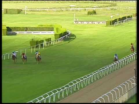 03 09 2017 2 a  corsa haflinger