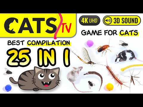 CATS TV - 25 IN 1 😻🪳 BEST Games Compilation for cats 🐭🕷️🪰 4K [Cats TV] 3 Hours