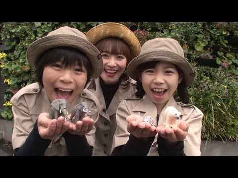 アニア どうぶつくらべっこクイズ！おもさくらべ編【タカラトミーキッズ】 親子で楽しくあんしん | ファミリー | おはなし | 公式 | タカラトミー公式