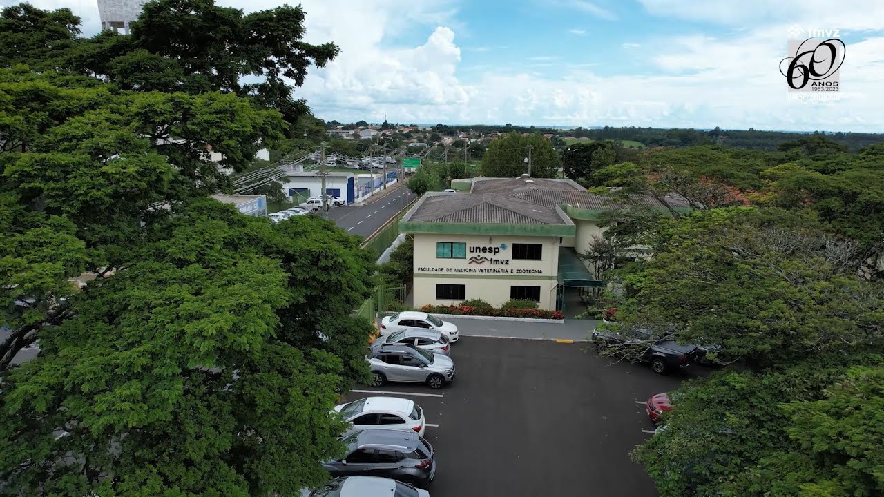 Evolução das Obras na Gestão 2021-2025