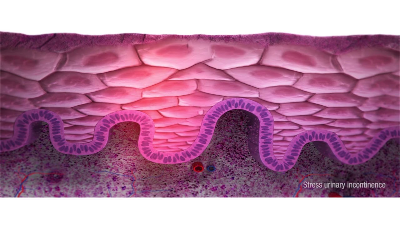 María Isabel Gasca Collado-13