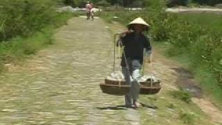 preview picture of video 'Hoi An countryside bicycle tour - Vietnam'