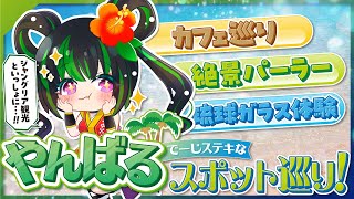 【沖縄・やんばる】やんばるでカフェ・体験巡り！！！【 ジャングリア 周辺スポット】