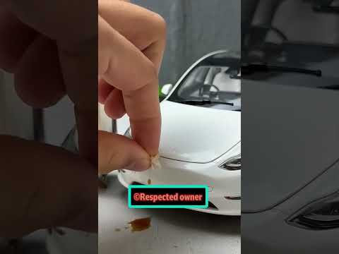 🚗 Cô Chị Lau Sạch Xe Rồi Mang Cả Cái Bàn Về! 😂