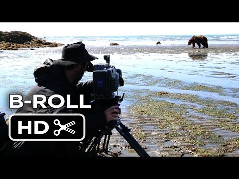 Bears (B-Roll 'Katmai')