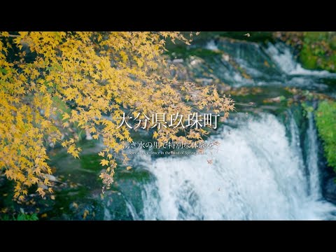 湧き水の里で特別な体験を（大分・玖珠町・山浦地区）Special Experience in the Land of Spring Water (pref Oita / Kusu Town )