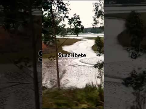 Arroyo Solís Chico 🏞️ Las Vegas, Canelones, Uruguay 🇺🇾