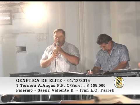 01-12-15 Ventas ( Parte 3 ) - Genetica de Elite - Palermo - Buenos Aires