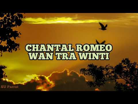 Chantal Romeo - Wan Tra Winti (Lyrics)