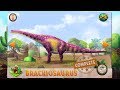 DINO DAN DINO DIGSITE BRACHIOSAURUS North America