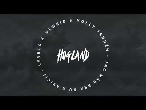 Newkid & Molly Sandén VS Avicii - Jag Mår Bra Nu X Levels (Hogland Mashup) [Swedish Mashup]