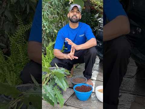 For all the beginners out there ! Gardening is an easy Job  #jishnuuthaman #plants #garden