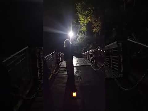 LIVE Ghost Hunt at Haunted Castell Coch 👻 | Real Paranormal Activity in Wales