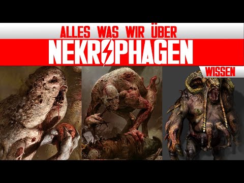 Alle "Nekrophagen" aus The Witcher 3: Wild Hunt und Mehr (Teil 1) - Witcher Lore - LoreCore