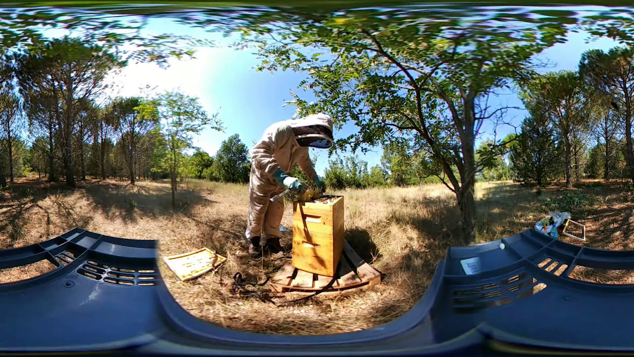 Collecte de Miel en 360° sur le Domaine Saint-Antonin Collecte de Miel en 360° sur le Domaine Saint-Antonin