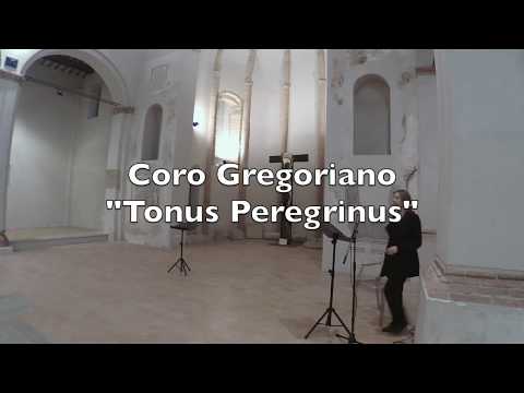 Concerto Tonus Peregrinus 2019 (part. 1)