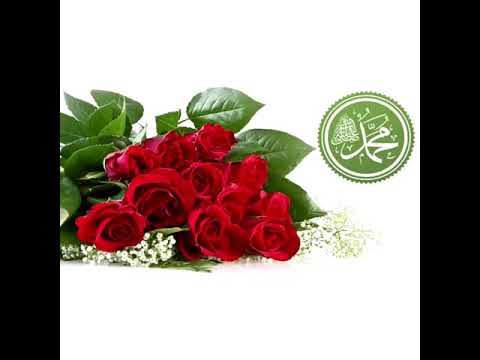 SALAVATE MBI MUHAMEDIN A.S 🤲