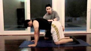 Core Stability: Quadruped Hip Extension