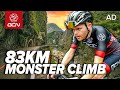 Racing The World S HARDEST Hill Climb Taiwan KOM Challenge