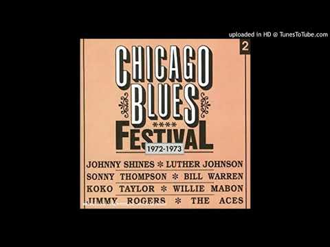 Thumbnail for Chicago Blues Festival 1972-73 - A Long Time - Sonny Thompson by Sonny Thompson