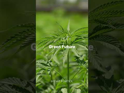 🌱Look the Eco Hemp Field.  #hemp #plant #fiber #sustainable #greenfuture