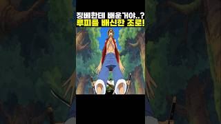 👉루피를 배신한 조로! #onepiece #원피스