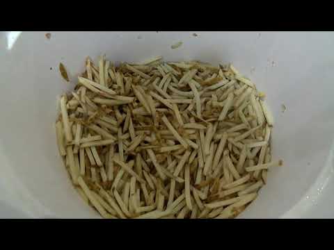 Primanti Brothers: 6 things to know about the new downtown restaurant