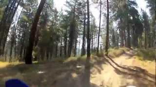 preview picture of video 'Idaho City Thorn Creek Ride July, 2012'