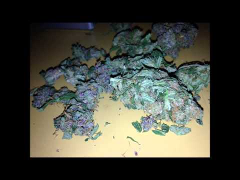 Push Pull Strive Recordz - Always On My Mind