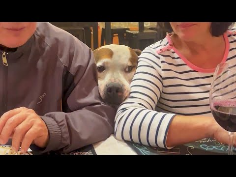 #2 Die besten Videos 2025 || ✪ Stern DuTube