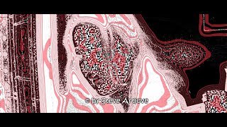 Soft Machine * Dada was Here * audio/ Progrssve Psychdl..Rock..../