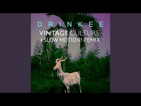Drinkee (Vintage Culture & Slow Motion! Remix)