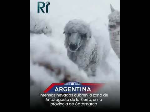 Intensas nevadas cubren la zona de Antofagasta de la Sierra, en la provincia de Catamarca
