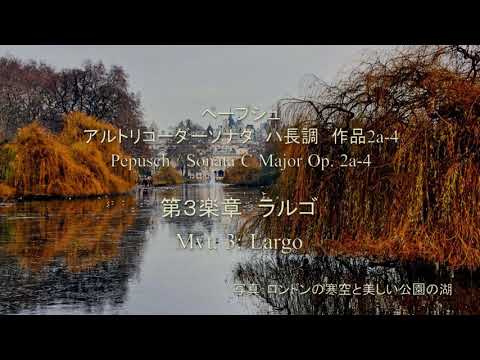 Pepusch / Alto Recorder Soanta C Major Op. 2a-4